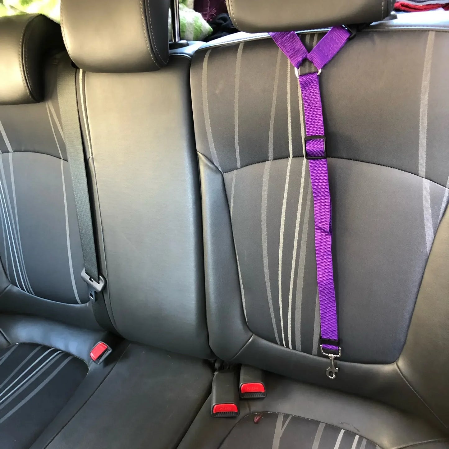 PET SEATBELT