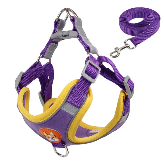 DOG HARNESS WITH LEASH