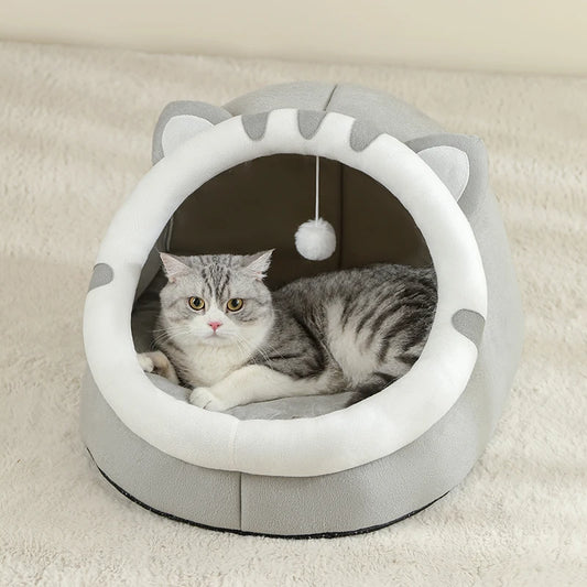 CAT BED