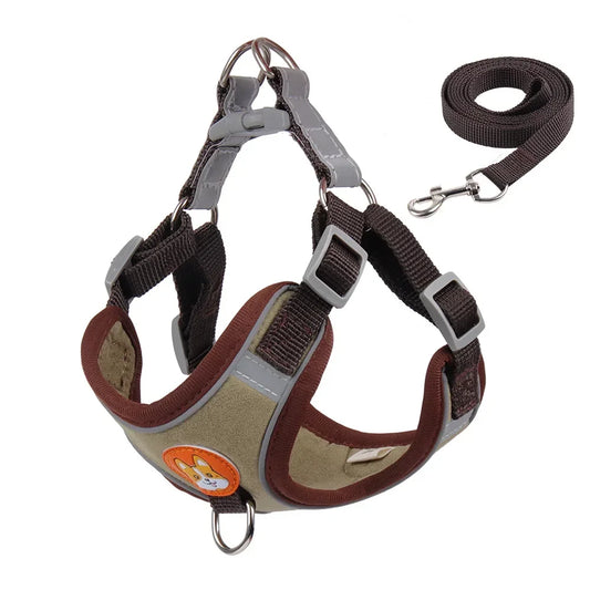 DOG HARNESS WITH LEASH